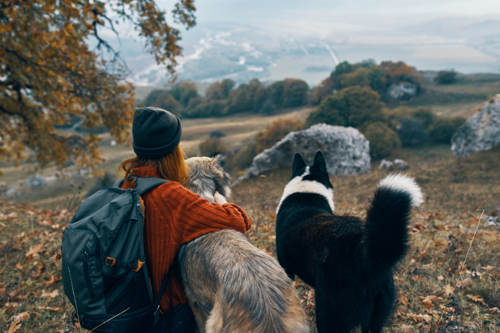 como cuidar do seu cachorro durante o inverno