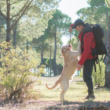 A BrodBro apoia e incentiva que os cães façam trilhas com os seus cães.