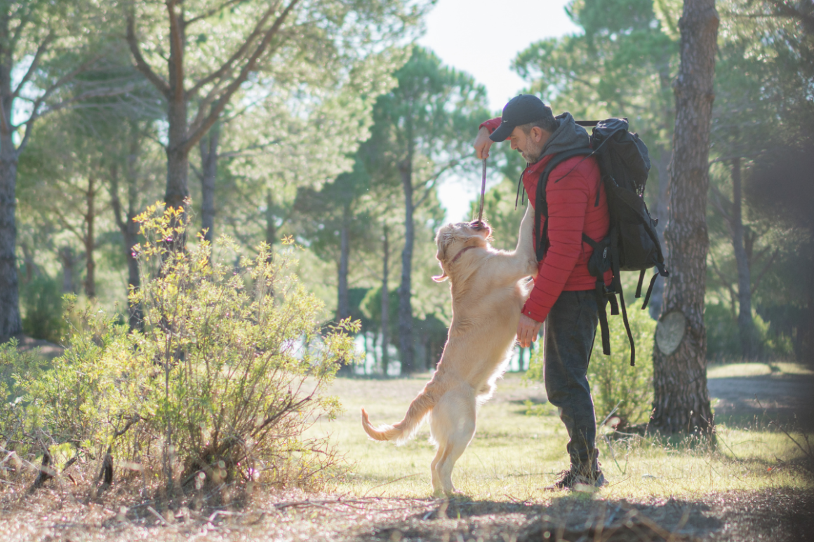 A BrodBro apoia e incentiva que os cães façam trilhas com os seus cães.