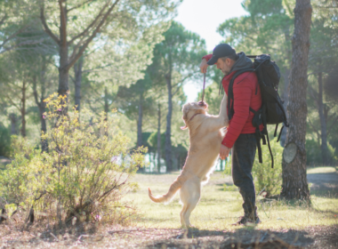 A BrodBro apoia e incentiva que os cães façam trilhas com os seus cães.